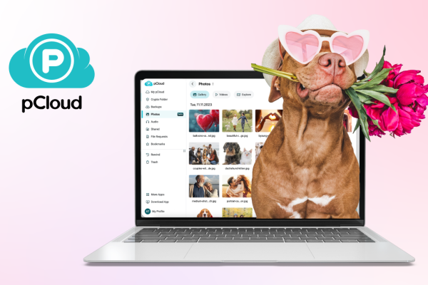 pCloud's Valentine's Promo